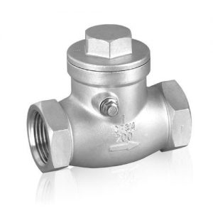 ss bsp check valve