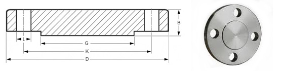 blind flange